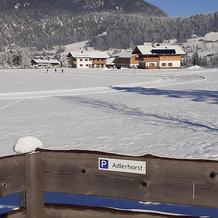 Ferienwohnung Adlerhorst Im Haus Lohrey Райт-им-Винкль Экстерьер фото